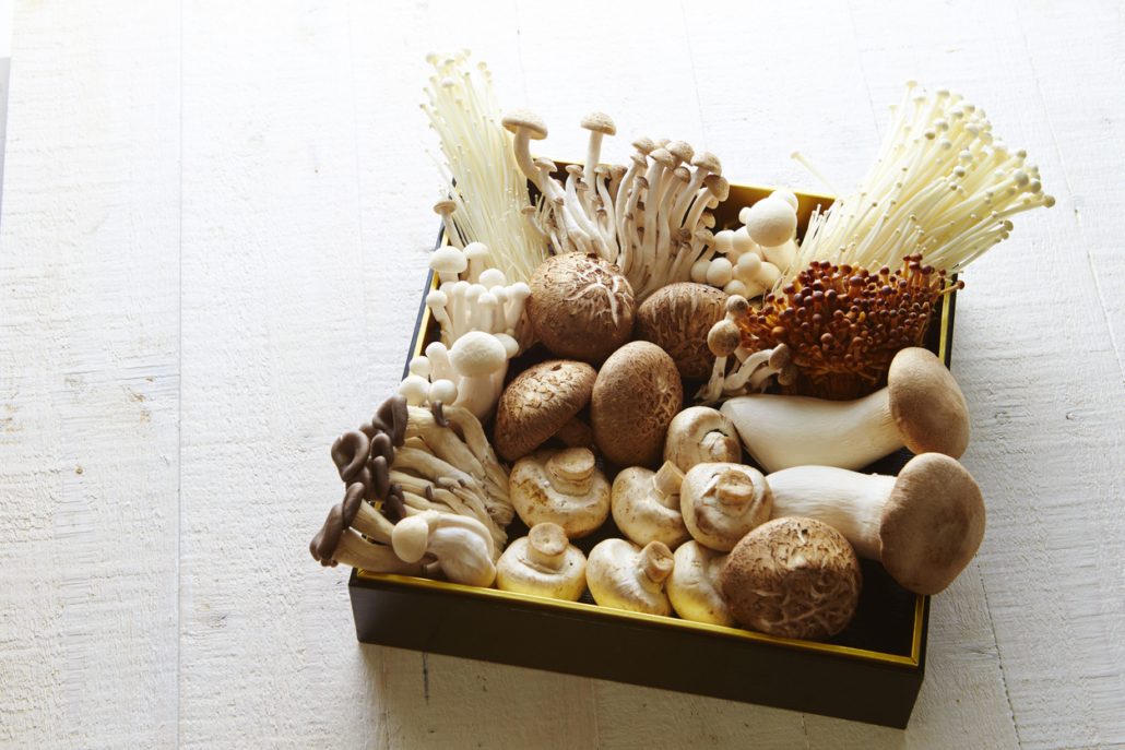 Kun je zelf eetbare paddestoelen kweken?