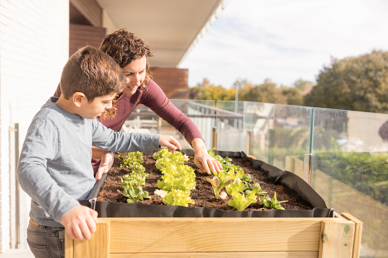 Het is lente, tijd om een moestuintje te maken