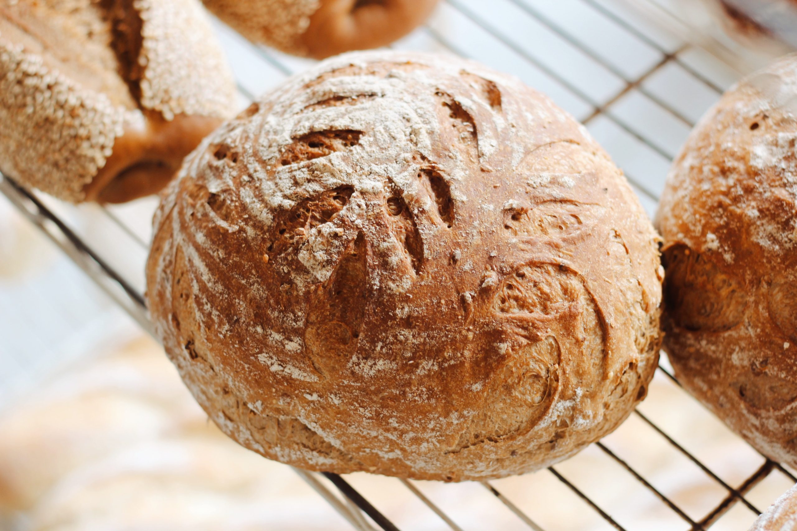 Alles over zuurdesem en hoe je er brood mee bakt
